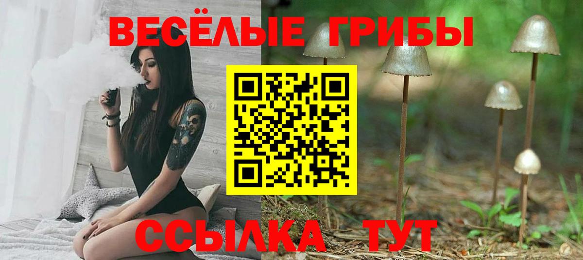 Псилоцибиновые грибы мицелий Сергиев Посад